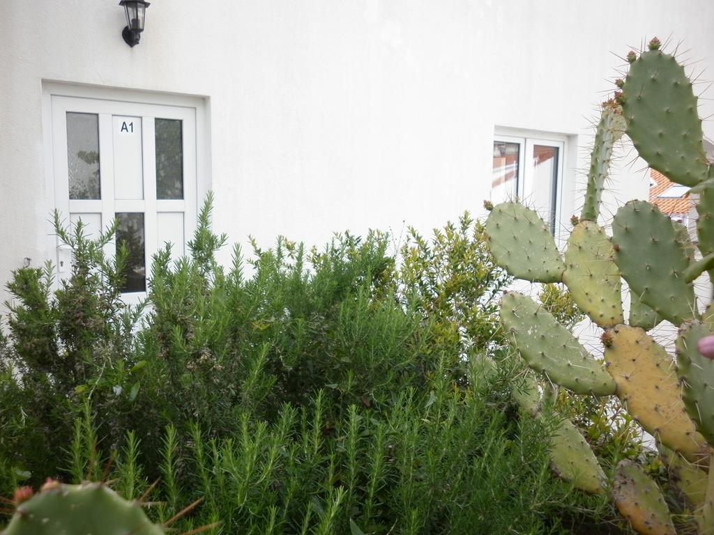 Apartment Hvar Krizna Luka Χβαρ Εξωτερικό φωτογραφία